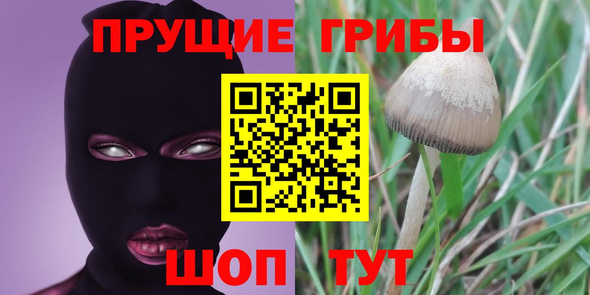 Псилоцибиновые грибы GOLDEN TEACHER Кувандык